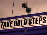 A Bold Life is a Happy Life