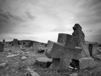 The Joy of Purpose … the meaning of life, part II