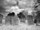 How the Fear of Dying is Slowly Killing You Gravesites