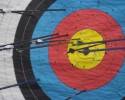 Arrows in Target