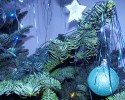 Blue Christmas