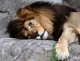 Are you Bored or just Boring? (the naked truth about boredom)