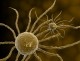 5 Deadly Cancers to the Human Soul