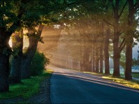 How to Live Daily, Filling Each Moment with Meaning and Purpose Fill Each Morning with Meaning