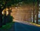 How to Live Daily, Filling Each Moment with Meaning and Purpose Fill Each Morning with Meaning