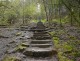 6 Simple Steps to Unearth Your Happiness