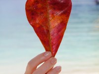 How to Keep Love Alive: 12 Principles for Nurturing Love in Your Marriage