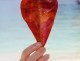 How to Keep Love Alive: 12 Principles for Nurturing Love in Your Marriage