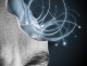 Ideas that Matter: Part II