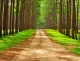 10 Essential Character Traits for a Happy Life