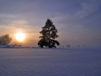 Snow Endures but for a Season