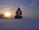 Snow Endures but for a Season