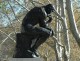 Random Acts of Wisdom: Wise Comments from Wise Readers
