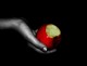 Rediscovering Willpower (what you need to know about the greatest human strength)